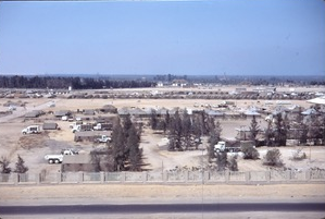 Canadian and Polish Lines at Shams Camp.